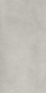 Фоссил Грэй Х2