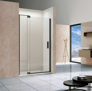 Душевая дверь, 100/110 см х 200 см