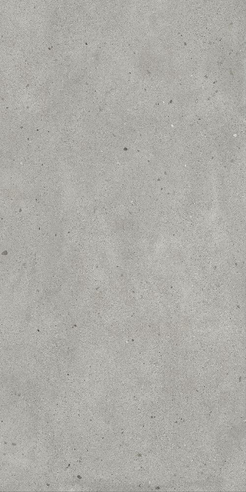 Авангард Сильвер