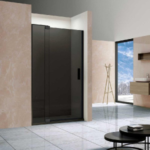 Душевая дверь, 100/110 см х 200 см